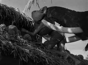 Niño elefante 1937