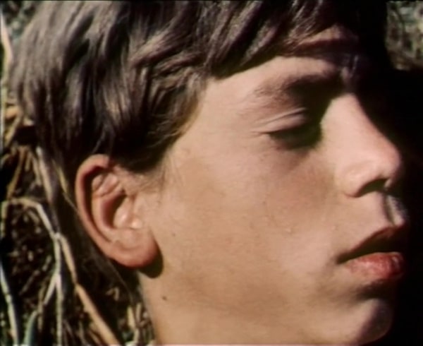 La Canta delle marane 1961 |  Chicos en las películas [BiM]